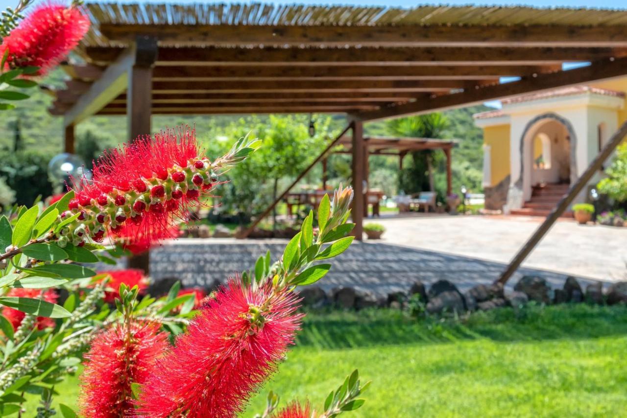 Villa Saige , Piscina Ad Uso Esclusivo, Con Idromassaggio Альгеро Экстерьер фото